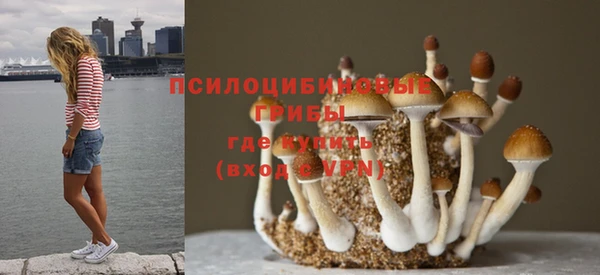 гидра Абдулино