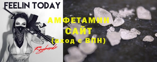 индика Абинск