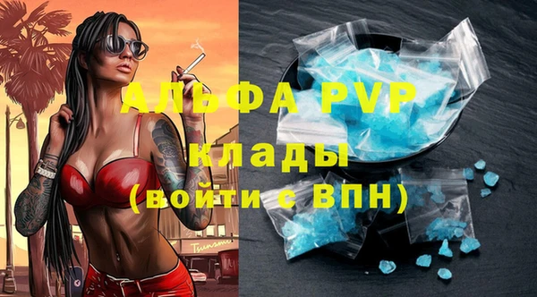 индика Абинск