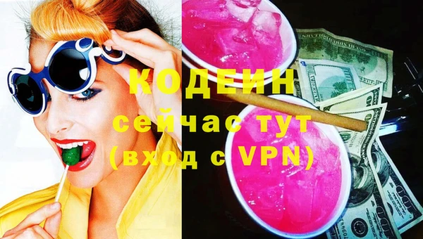 индика Абинск