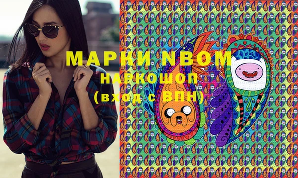 индика Абинск
