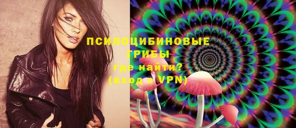 таблы Осинники