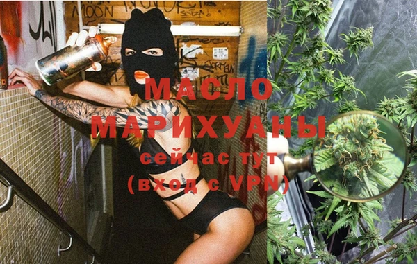 индика Абинск