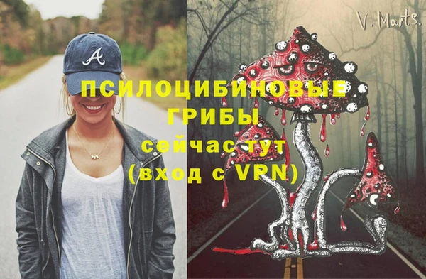 прущая мука Абаза