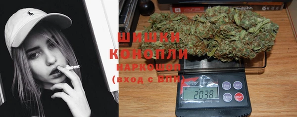 таблы Осинники