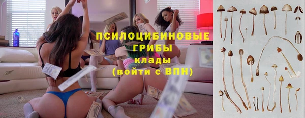 прущая мука Абаза