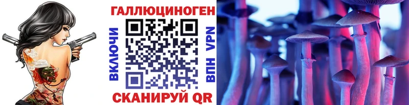 Галлюциногенные грибы Psilocybe  хочу   Саратов 